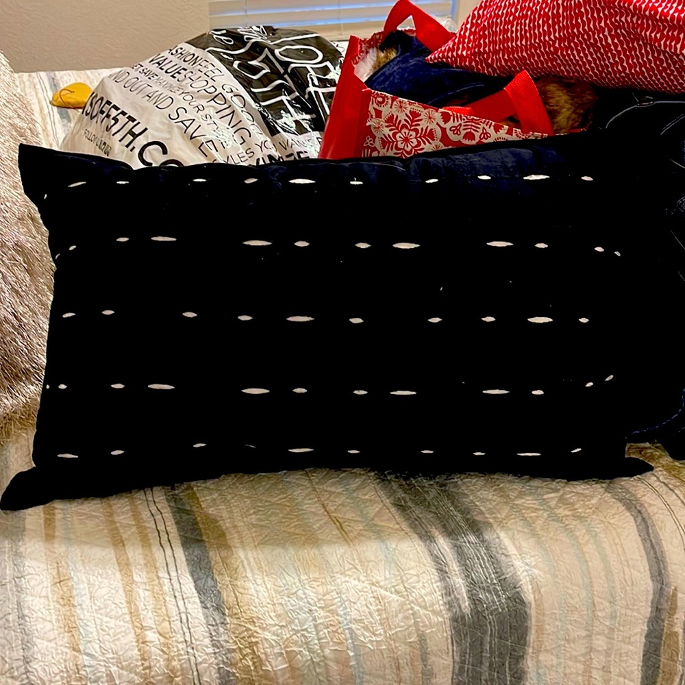 Throw Pillow